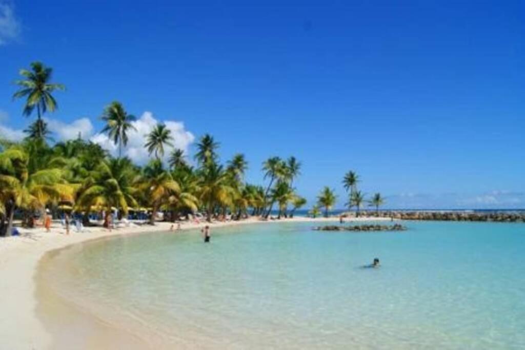 Gite Cajou Dans Jardin Tropical Ventile A Sainte-Anne エクステリア 写真