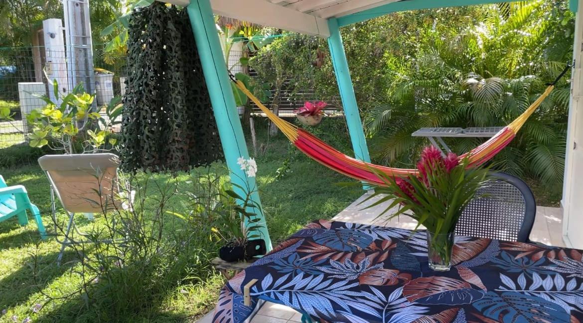 Gite Cajou Dans Jardin Tropical Ventile A Sainte-Anne エクステリア 写真