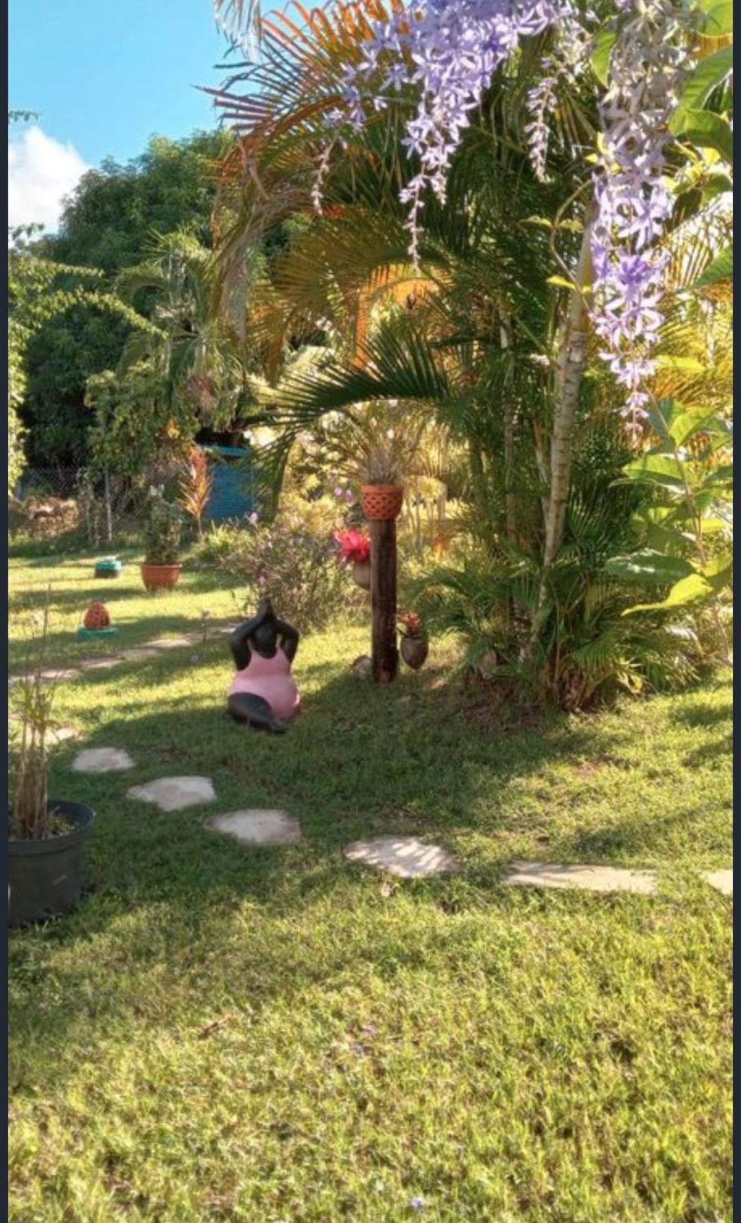 Gite Cajou Dans Jardin Tropical Ventile A Sainte-Anne エクステリア 写真