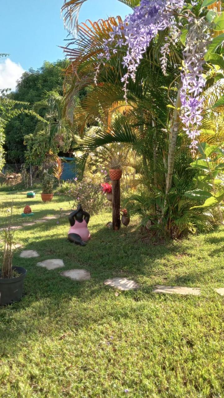 Gite Cajou Dans Jardin Tropical Ventile A Sainte-Anne エクステリア 写真