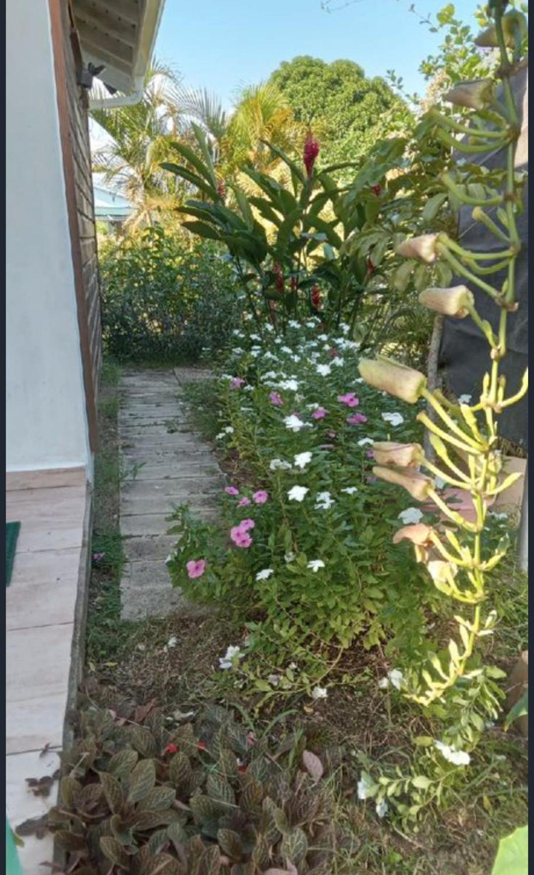 Gite Cajou Dans Jardin Tropical Ventile A Sainte-Anne エクステリア 写真